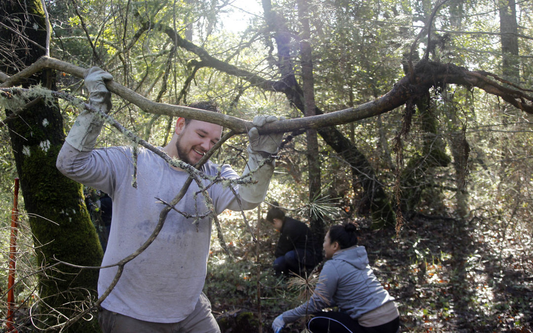 The French broom had no chance against volunteers from local accounting firm