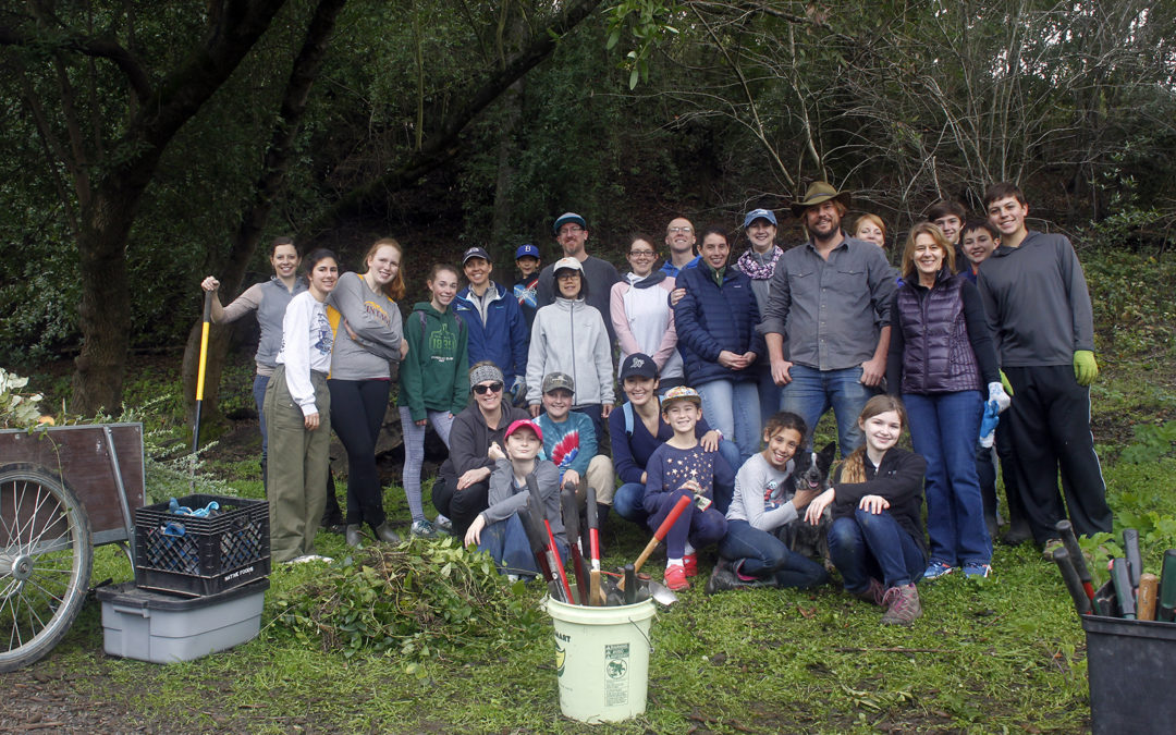 Soft dirt and a big group makes weed pulling easy on MLK Day