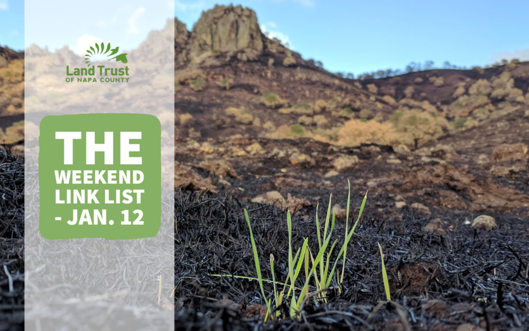 The Weekend Link the weekend link list jan 12 land trust of napa county The Weekend Link the weekend link list jan 12 land trust of napa county