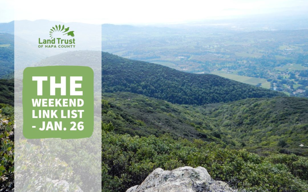 The Weekend Link List – Jan. 26