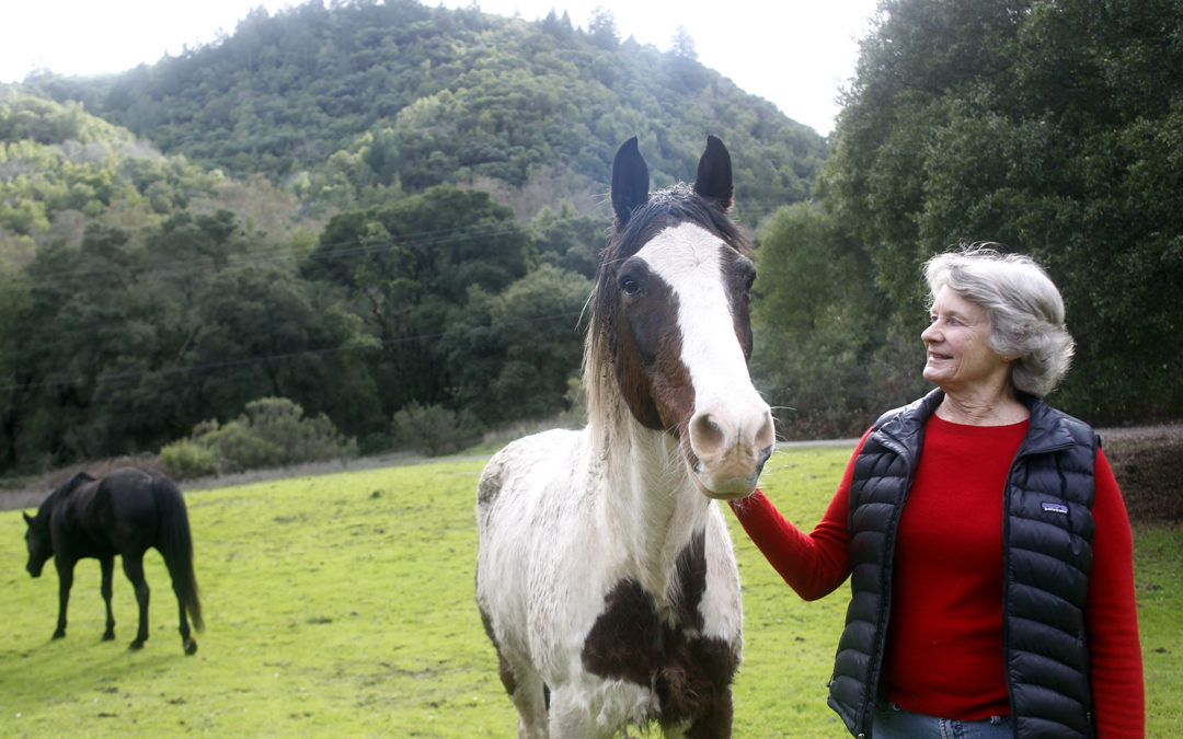76 acres near Yountville now protected