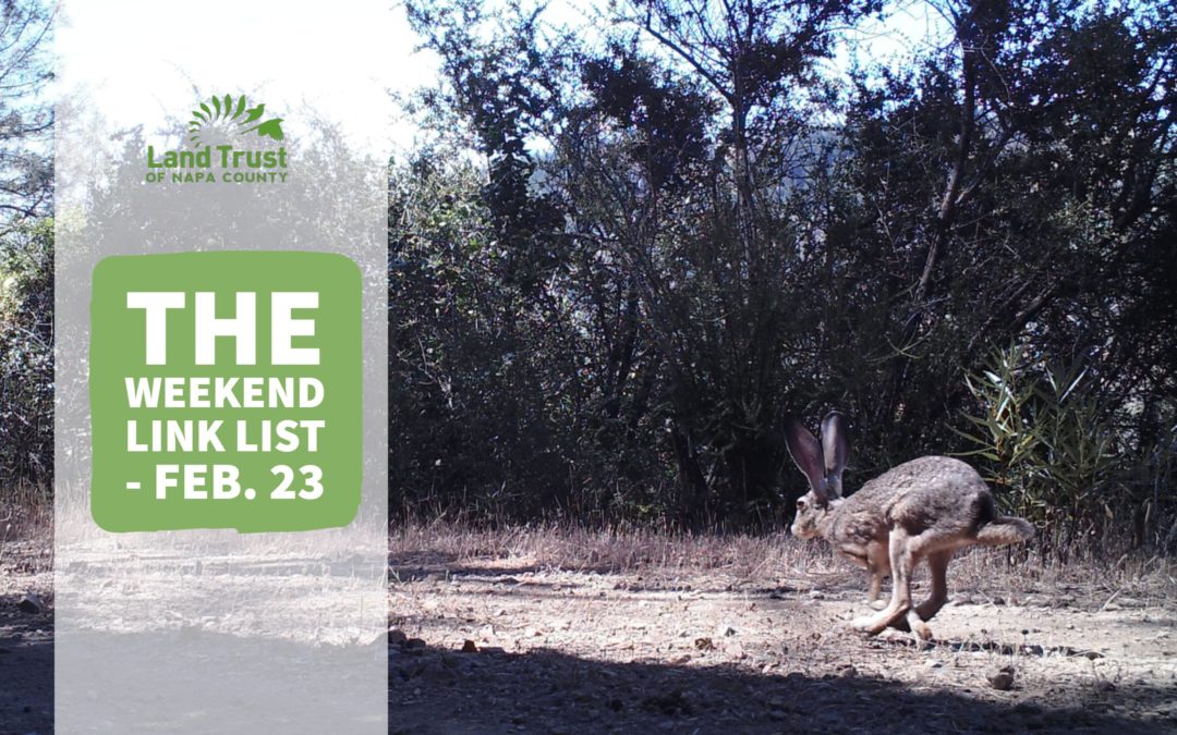 The Weekend Link List – Feb. 23