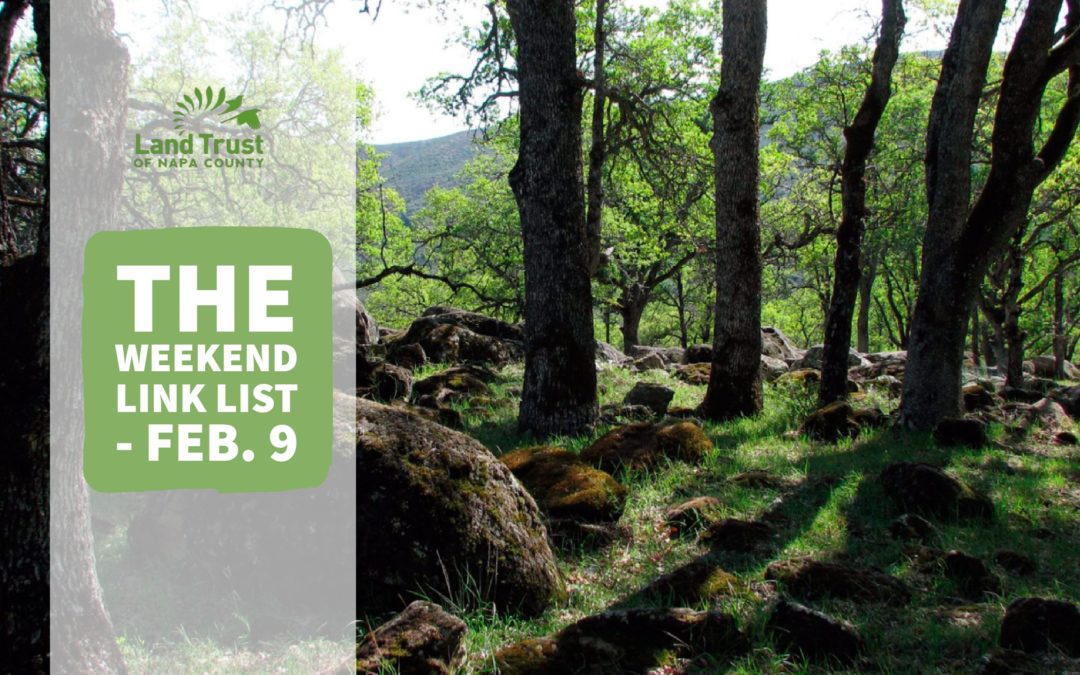 The Weekend Link List – Feb. 9