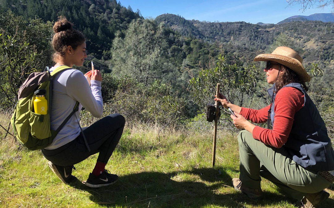 Napa Youth Stewardship Council trains at Wildlake Preserve