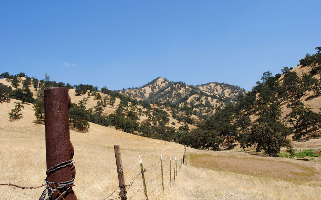 Webber Ranch protected through conservation easement